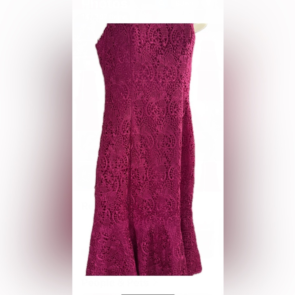 Eliza J Magenta Lace Sleeveless Sheath Dress (Size 4)‎ - Picture 10 of 14